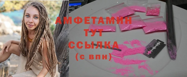 гашик Бородино