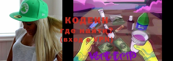 гашик Бородино