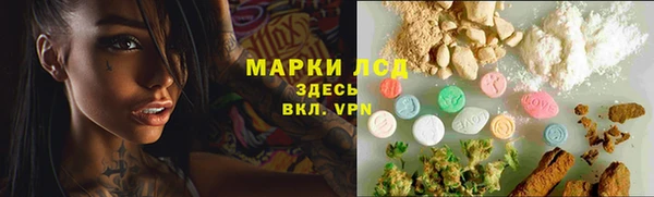 гашик Бородино