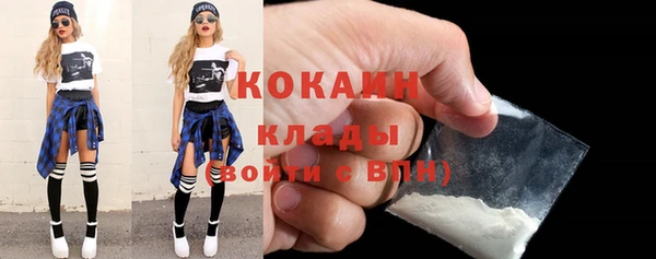 гашик Бородино