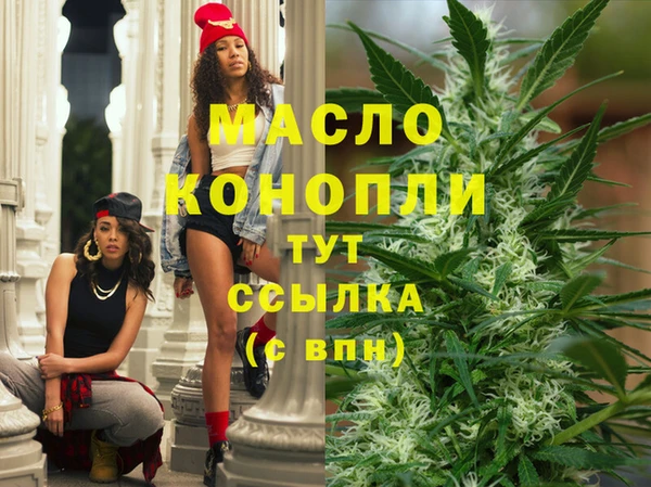гашик Бородино