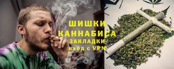 хмурый Бронницы