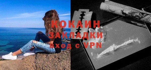 гашик Бородино