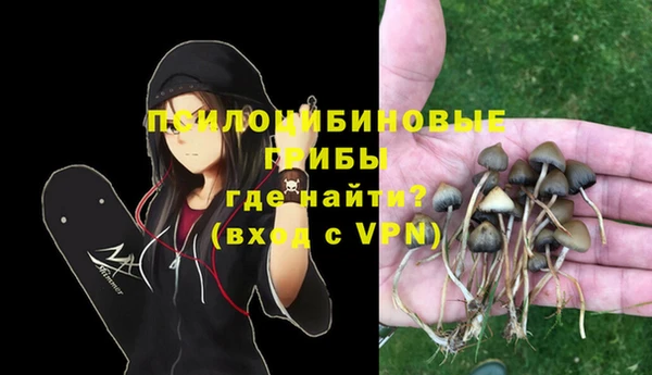 хмурый Бронницы
