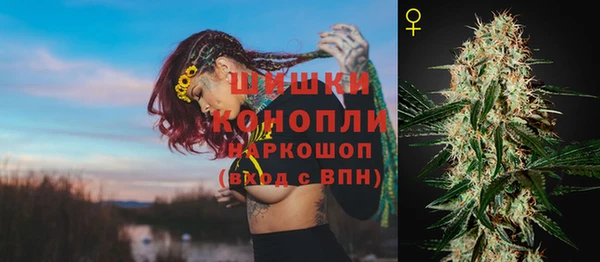 гашик Бородино